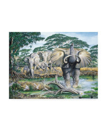 Trademark Global dann Spider Warren Unrest on the Serengeti Canvas Art - 15.5