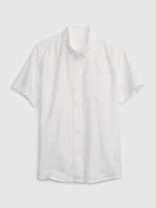 School shirts for boys