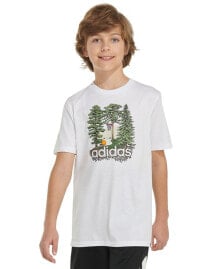 adidas big Boys Outdoor Adventure Graphic T-Shirt