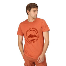 Men's sports T-shirts and T-shirts