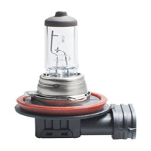 Лампы для автомобилей Галогенная лампа M-Tech Z64 H16 5202 12V 19W PGJ19-3