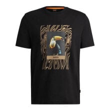 Men's sports T-shirts and T-shirts