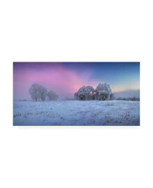 Trademark Global sergei Shabunevich Trees Covered in Snow Canvas Art - 37