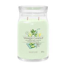 Aromatic candle Signature large glass Cucumber Mint Cooler 567 g