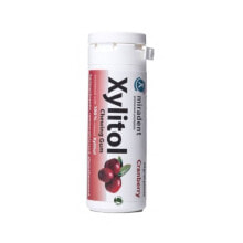 XYLITOL Gum Arandano Tube 30 Units