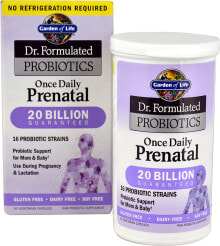 Пребиотики и пробиотики garden of Life Dr. Formulated Probiotics Once Daily Prenatal Ежедневные пробиотики для беременных 16 штаммов 20 млрд КОЕ 30 капсул