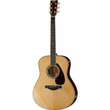 Acoustic guitars