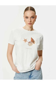 Women's T-shirts and Tops