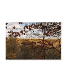 Trademark Global kurt Shaffer Photographs Autumn in the Cuyahoga Valley Canvas Art - 15.5