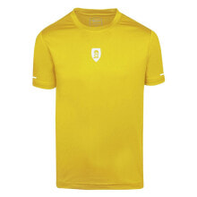 Men's sports T-shirts and T-shirts