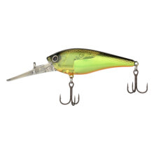 Baits and jigs for fishing