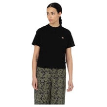 DICKIES Oakport Boxy Short Sleeve T-Shirt