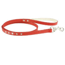 YOUPET Narrow Fant Leash