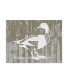 Trademark Global jennifer Goldberger Woodgrain Fowl I Canvas Art - 15