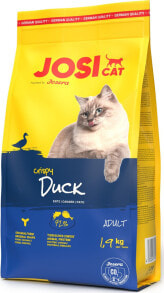 Dry cat food