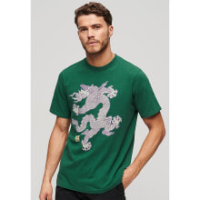 Men's sports T-shirts and T-shirts