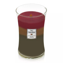 Декоративные свечи large scented candle Trilogy Hearthside 609.5 g