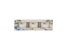 Освежители воздуха и ароматы для дома Seaside Woods Glass Votive Candle Set 3 x 37g