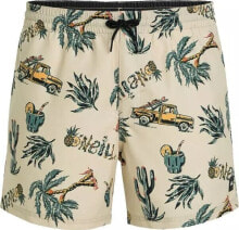 Swimming trunks and shorts