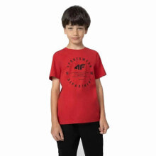 Children's T-shirts and T-shirts for boys