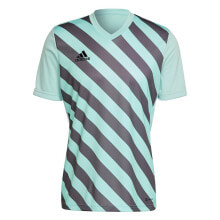 Мужские спортивные футболки Мужская спортивная футболка голубая в полоску Adidas Entrada 22
