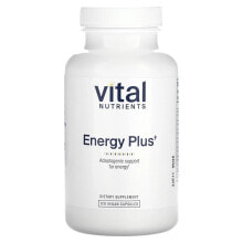 Energy Plus, 120 Vegan Capsules