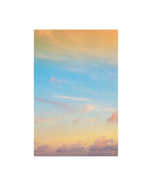 Trademark Global philippe Hugonnard Viva Mexico Sky at Sunset IV Canvas Art - 19.5
