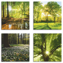 Leinwandbilder Set Wald Natur