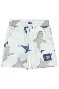 Children's shorts for boys