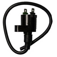 SGR 12V 0.30OHM 2 Fastons Ignition Coil