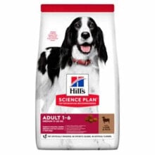 HILL´S SP Medium Lamb Rice 2.5kg Dog Food