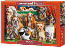 Puzzles for children