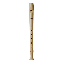 Hohner B9509 Melody Soprano Recorder