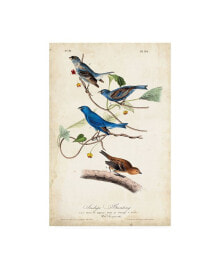 Trademark Global john James Audubon Indigo Bunting Birds Canvas Art - 15