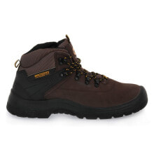 Men's Low Boots