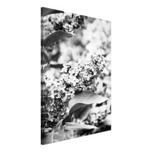 Wandbild Monochrome Lilac