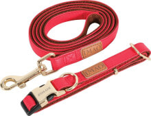 Dog Leashes