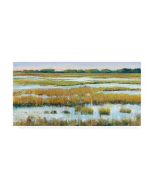 Trademark Global tim OToole Serene Marshland I Canvas Art - 15.5