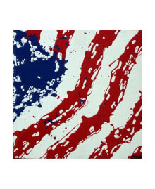 Trademark Global roderick Stevens American Flag Splash Canvas Art - 36.5