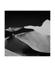 Trademark Global mathilde Guillemot Abstract Dunes Black Canvas Art - 15
