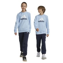 ADIDAS Essentials Big Logo French Terry Joggers junior tracksuit