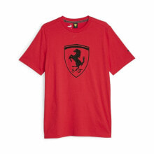 Men's sports T-shirts and T-shirts