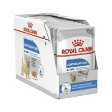 Wet food Royal Canin Meat 12 x 85 g