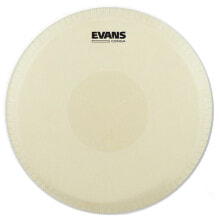 Evans EC1250 12 1/2