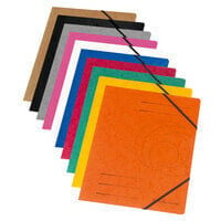 11166816 - A4 - Cardboard - Assorted colours - Elastic band - 1 pc(s)