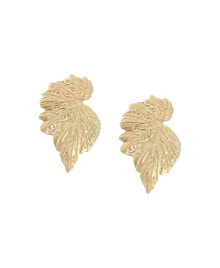 Women's Earrings