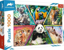 Детские развивающие пазлы trefl Puzzle 1000 elementów Królestwo zwierząt Animal Planet