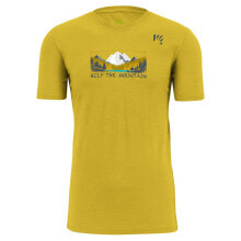 Men's sports T-shirts and T-shirts