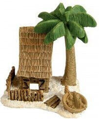 Zolux House with miniature coconut palm