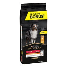 Products for dogs